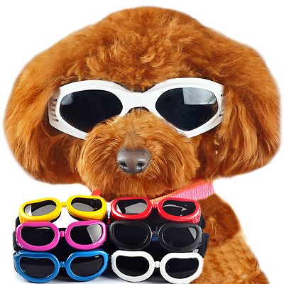 Extra Small Medium Dog Goggles Sunglasses UV eye protection Sun Glasses eye Wear $5.99