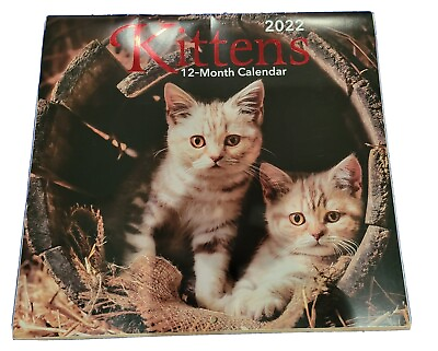 #ad 2022 Kittens 😸 12 Month Calendar 11×12 w Cats great gift NEW $4.25