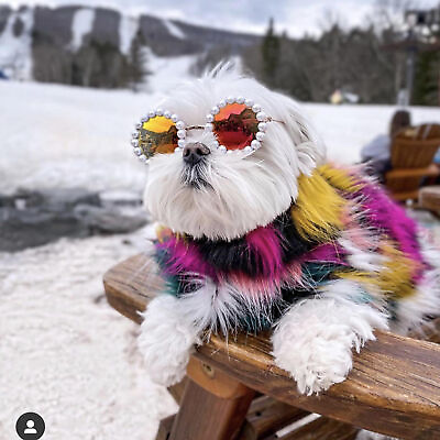 #ad Puppy Sunglasses Faux Pearl Design Anti deform Pet Cat Dog Glasses Puppy $9.15