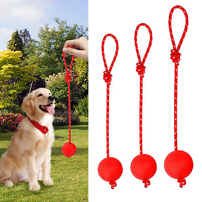 #ad Pet Dog Elastic Solid Rubber Rope Ball Chew Toy For Training Catch Aggressive $11.21
