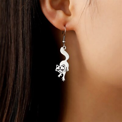 #ad Cute Raccoon Earrings for Women Girls Stainless Steel Animals Drop Earrings $6.59
