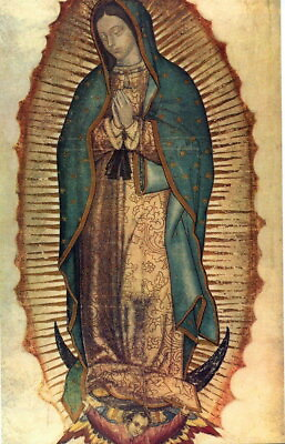#ad 63045 Our Lady Of Guadalupe Wall Decor Print Poster $14.95