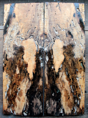 #ad Curly spalted maple drop top partial epoxy .33quot; thk bass guitar luthier 2322 $89.99