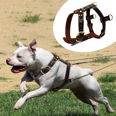 Real Genuine Leather Dog Harnesses Heavy Duty Adjustable for Pitbull Rottweiler $43.99