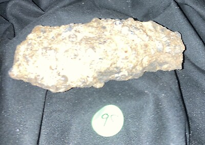 #ad Snail Fossil Turritella Agate 3d 6 Oz Stone $45.00