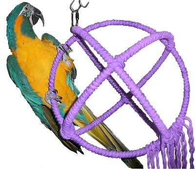 #ad Large Purple Parrot Orbit Swing Toys Perches $75.00