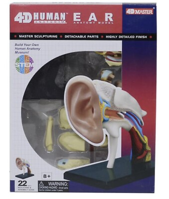#ad 4D Human Anatomy Ear Anatomy Model 22parts And Assembly Guide $29.99