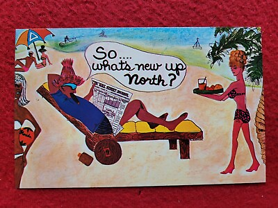 #ad Florida So What#x27;s New Up North Animated $3.59
