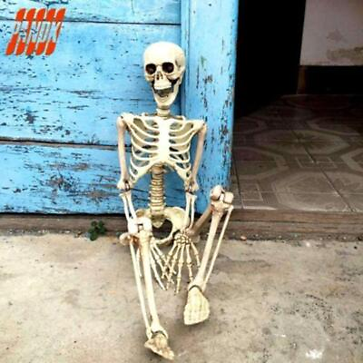#ad Halloween Human Skeleton Oversized Poseable Full Life Size Decoration Party Prop $12.86