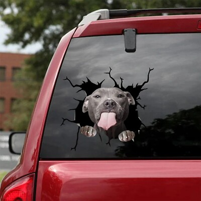 Funny Pitbull Cute Dogs Sticker For Car Window Pitbull Crack Decal 3D Realistic $19.95