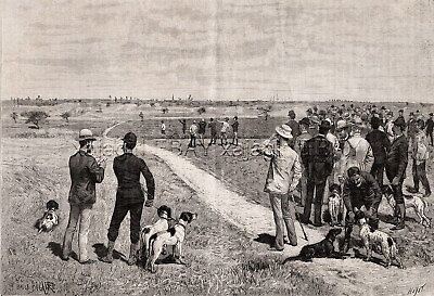 #ad Hunting Dog Field Trials in Lessines Belgium Large 1880s Antique Print NAVDA $79.95