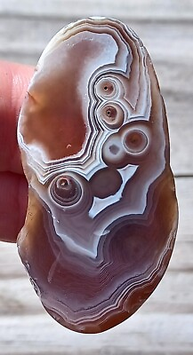 #ad Botswana Agate Polished Front And Back 17g Crystal Display Focal Stone Wire Wrap $7.00