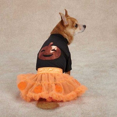 #ad Orange Pumpkin Dog Costume By Zack amp; Zoey Polyester Nylon Smaller Sizes Unisex $16.09
