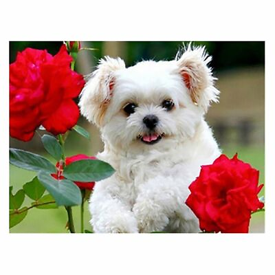 #ad Diamond Painting White Puppy Lovely Red Roses Flower Designs Embroidery Displays $50.99