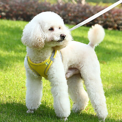 #ad Dog Harness Comfortable Bite resistant Walking Dog Traction Harnesses Fashion $8.28