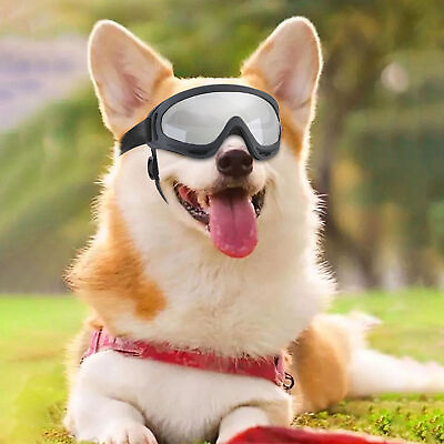 #ad Riding Dog Goggles Shatterproof Glasses Uv Protection Adjustable Straps $14.88
