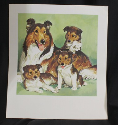 Vtg Roy Anderson Art Print Collies Dog Puppies Just Nine Weeks Old Farm 10.5x12 $17.99