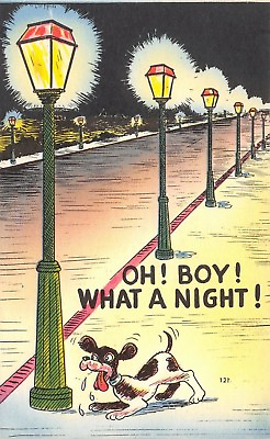#ad #ad Comic Pun quot;Oh Boy What a Night quot; Dog Stops @ Long Row of Lamp Posts 1940 Linen $6.00