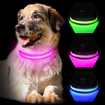 #ad Light up Dog Collar Glow Dog Collar RechargeableSuper Bright Lighted Dog Colla $17.99