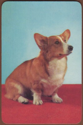 Playing Cards 1 Single Card Old CORGI DOG Queen Elizabeth ROYAL DOG Art Picture GBP 2.03