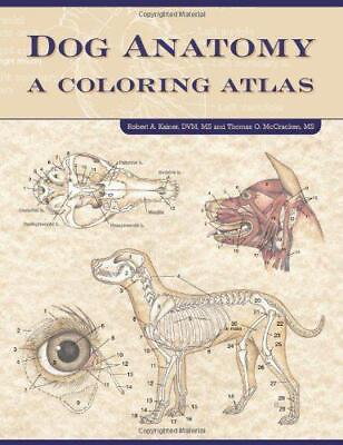 #ad Dog Anatomy: A Coloring Atlas GBP 15.67