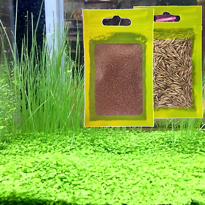 #ad Live Aquarium Plant See ds ComboFresh Water Grass Plants Mini Leaf amp; Longhair $13.66