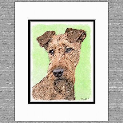#ad Irish Terrier Dog Original Art Print 8x10 Matted to 11x14 $21.99