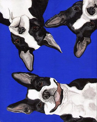 BOSTON TERRIER 3 Dogs Dog Blue 8x10 Signed Art PRINT of Painting by VERN $11.99