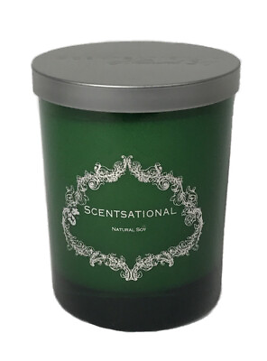 #ad Scentsational Candle 11 oz Christmas Spirit Natural Soy Green Jar Silver Lid $25.75