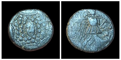 #ad AMISOS PONTUS 85BC Mithradates VI the Great OLD AEGIS Nike Greek Coin wow grade $95.00