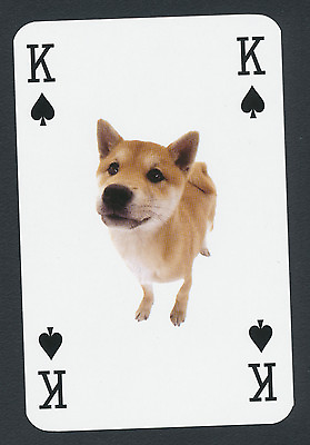 #ad dog playing card single swap king of spades 1 card $2.24