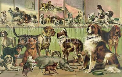 #ad KENNEL CLUB DOGS Vintage Dog Breed Rolled Paper Giclee Print 32x24 in. $78.62