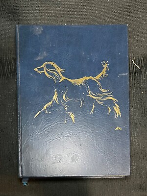 #ad RARE quot;THE AFGHAN HOUND A DEFINITIVE STUDYquot; DOG BOOK BY MARGARET NIBLOCK 1980 $25.00