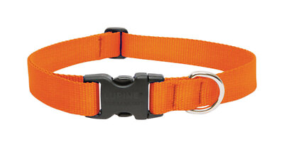 #ad Lupine Pet Basic Solids Blaze Orange Blaze Orange Nylon Dog Adjustable Collar $12.99