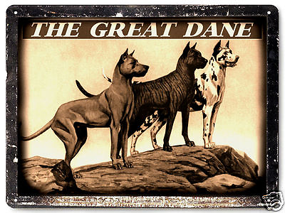#ad #ad GREAT DANE Dog METAL sign dog pet shop great gift vintage style wall decor 218 $19.55