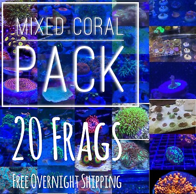 #ad Frag pack live coral 20 Mixed Frags Free Overnight Shipping $220.00