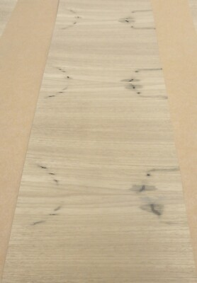 #ad Teak Brazilian Freijo KNOTTY RUSTIC wood veneer 48quot; x 9.5quot;on paper backing 1 40quot; $42.50