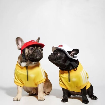 #ad Forever Luxury Pets Fashion Designer Dog Clothes Size Small Medium Shirt $19.99