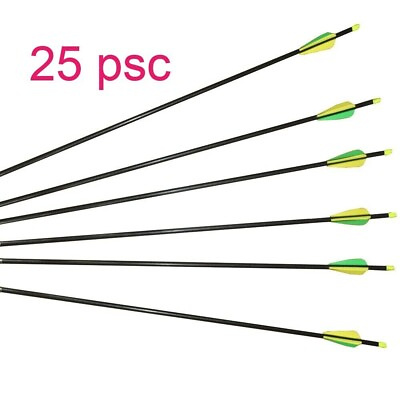 #ad 25 Pcs 30 Inch Fiberglass Compound bow Target arrows 30quot; by ROBIN#x27;S APPLE $24.99