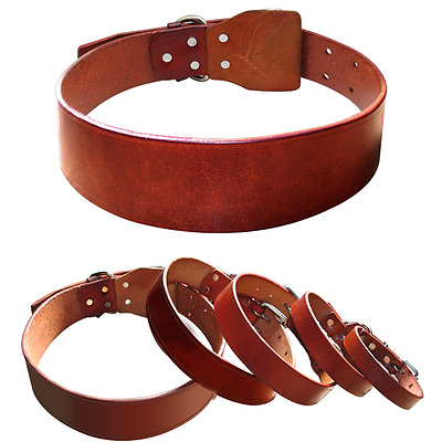 #ad Durable Genuine Leather Pet Dog Collars for Large Dogs Brown XS S M L XL XXL $16.99