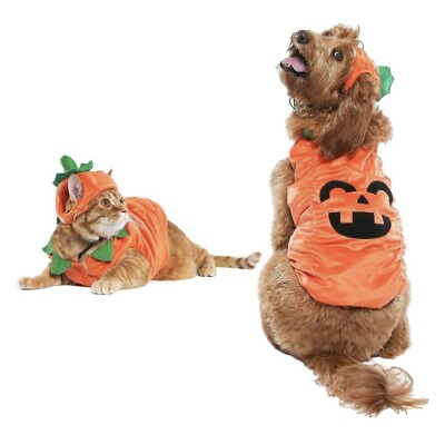 #ad Vibrant Life Dog Pet Halloween Pumpkin Costume Size Small $8.75