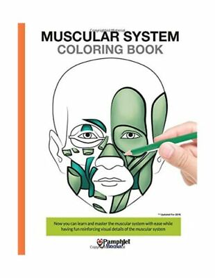 #ad Muscular System Coloring Book: Now you can learn and master the... Free Shipping $10.69