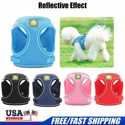 Breathable Small Dog Mesh Vest Harness Collar Leash Soft Chest Strap Adjustable $5.63