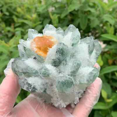#ad 300gNew find Green Yellow Phantom Quartz Crystal Cluster Mineral Specimen Gem $37.51
