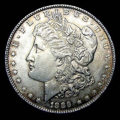 #ad 1889 Morgan Dollar Silver Gem BU Details Coin #378J $65.00