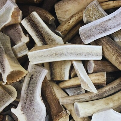 #ad Bulk Split Elk Antler Dog Chews Sold By The Pound A Grade Antlers for Dogs $39.99