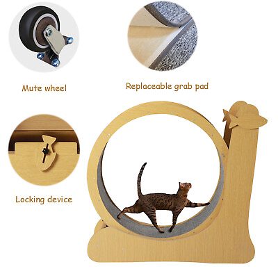 #ad Cat Exercise Wheel Interactive Cat Treadmill Running Toy Pet Fitness Sport Wheel $160.55