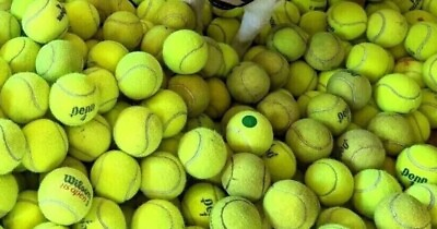 #ad 25 In 1 Used TENNIS BALLS in good condition For DOG TOYS.. .FREE SHIPPING $23.00