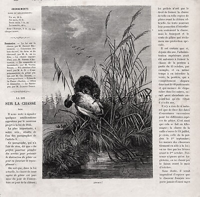 #ad Dog Field Spaniel Retrieving Duck from Water 1880s Antique Print $89.95