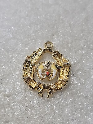 #ad Masonic Shriners Gold Toned Enamel Charm Ornate Medium Sized $19.99